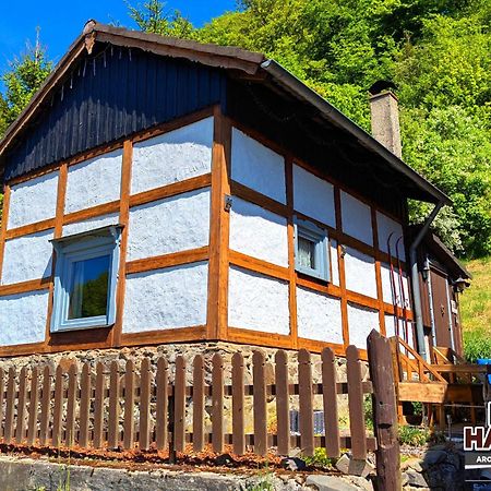 Arode Hütte Harzilein - Romantic tiny house on the edge of the forest Zorge Exterior foto