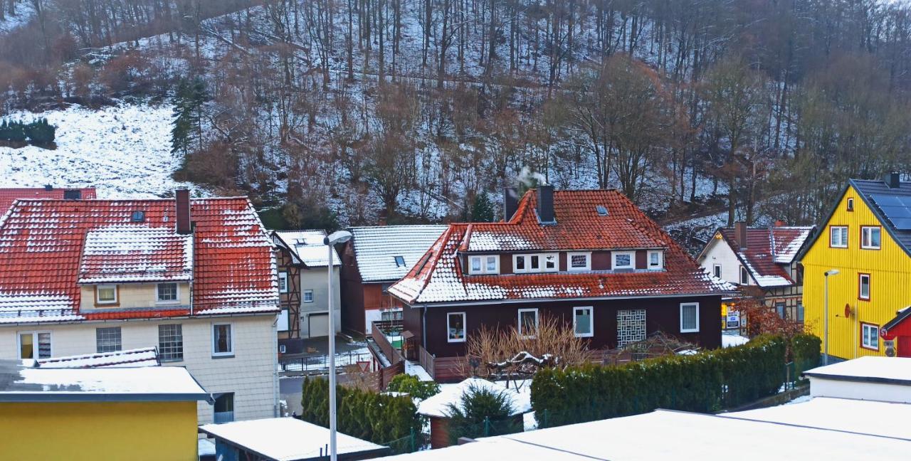 Arode Hütte Harzilein - Romantic tiny house on the edge of the forest Zorge Exterior foto