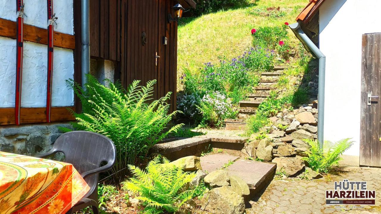 Arode Hütte Harzilein - Romantic tiny house on the edge of the forest Zorge Exterior foto
